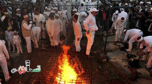 نابلس: السمره بين الهوية الاسرائيلية والمواطنة الفلسطينية ... سامريو نابلس يحتفلون بالفصح العبري  